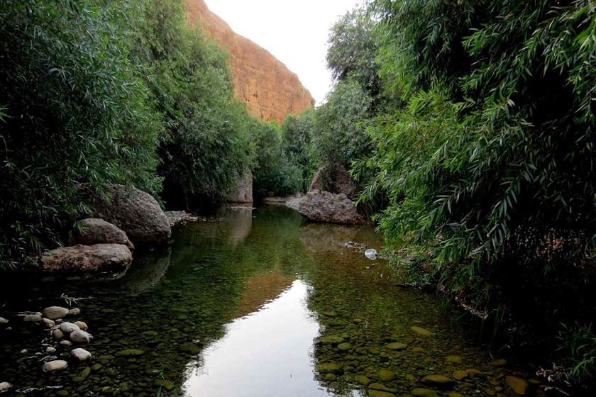 دره انار گتوند، بهشتی سرسبز در بیابان