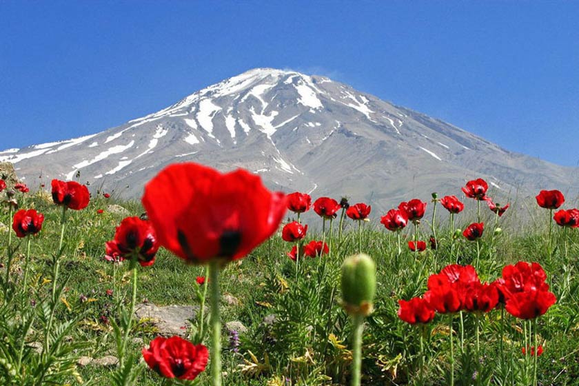 بخشی از کوه دماوند به تملک سازمان اوقاف درآمد