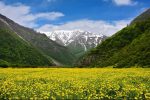 دشت دریاسر تنکابن؛ آشنایی با مقاصد تورهای طبیعت گردی ایران