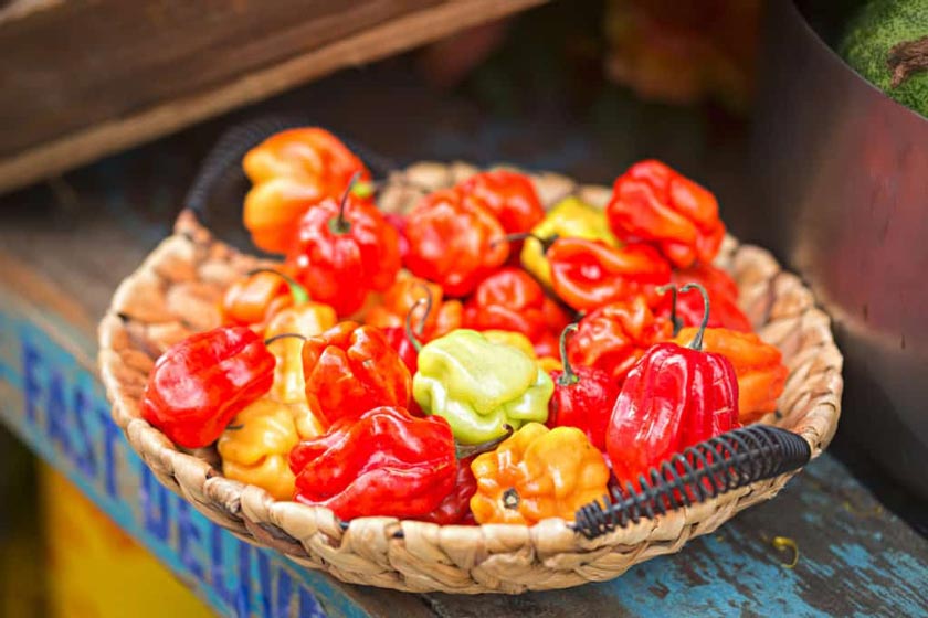 با تندترین غذاهای جهان آشنا شوید
