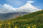 روستای نوا و دشت آزو، جایی برای تماشای بهترین چشمانداز دماوند