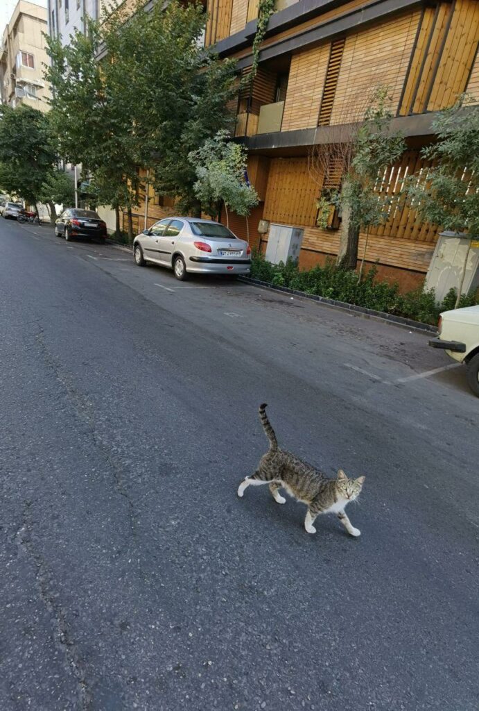نقد و بررسی دوربین هواوی پی۴۰ پرو